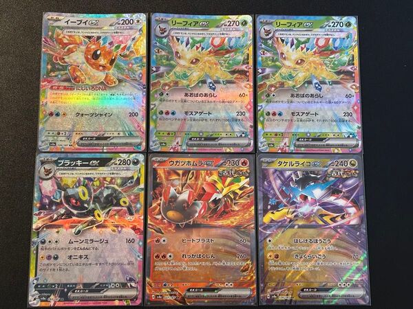 イーブイ リーフィア ブラッキー など rr 6枚まとめ売り テラスタルフェスex ポケモンカード