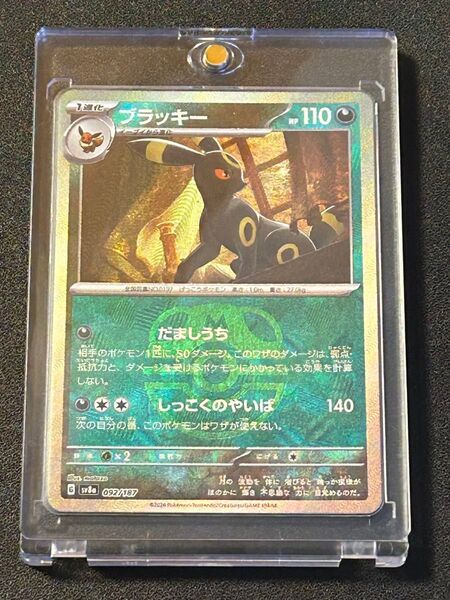 ブラッキー マスターボールミラー テラスタルフェスex ポケモンカード マスボ