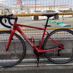 Cannondale CAAD OPTIMO サイズ51