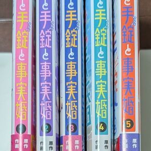 ぺんと手錠と事実婚 全巻セット