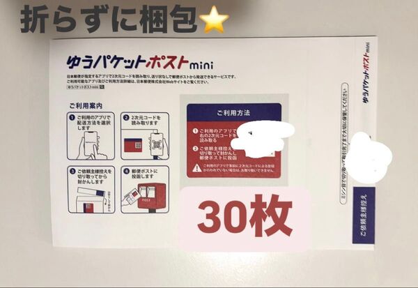 ゆうパケットポストmini 専用封筒 30枚