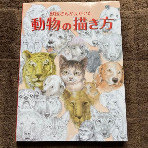 獣医さんがえがいた動物の描き方 鈴木真理 グラフィック社 絵画技法