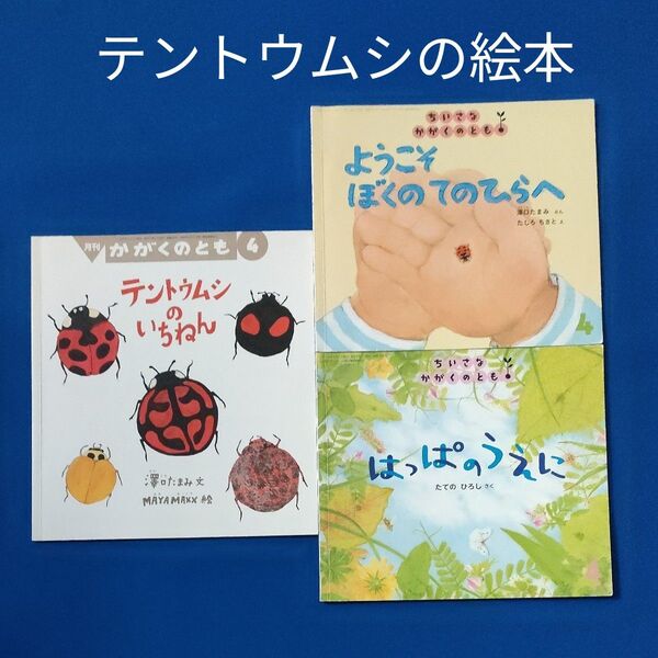かがくのとも てんとうむしの絵本 テントウムシのいちねん はっぱのうえに ようこそぼくのてのひらへ 福音館
