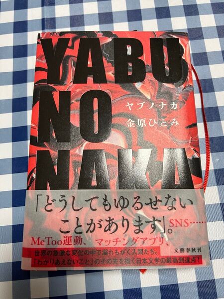 YABU NO NAKA 金原ひとみ 文藝春秋