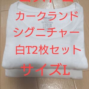 【古着L】2枚セット コストコ カークランドTシャツヘヴィーウェイトY-12