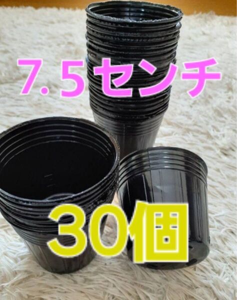 ポリポット観葉植物多肉植物挿し木プランター