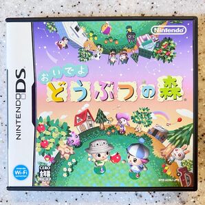 おいでよどうぶつの森 ニンテンドーDS DSソフト DS