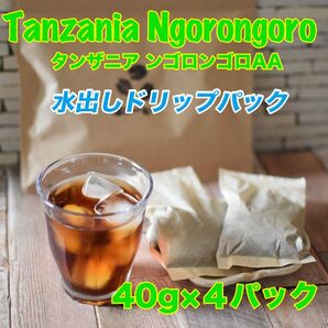 送料無料/タンザニア ンゴロンゴロAA/水出しコーヒードリップ40g 4パック