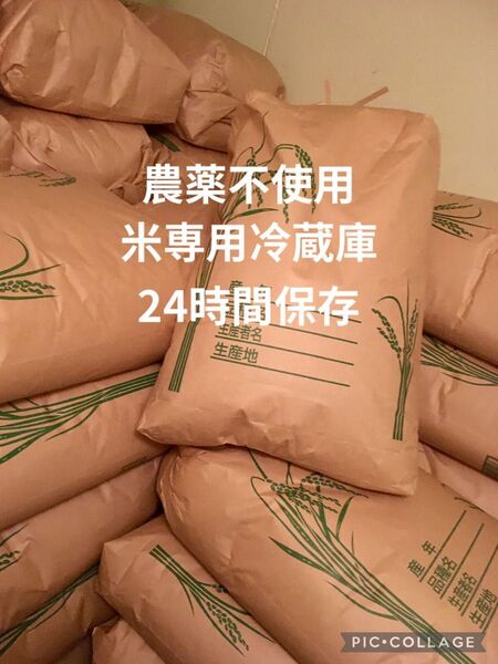 にこまる 2kg 農薬不使用 玄米 国産 農家直送 美容健康 安心安全