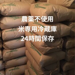 あきたこまち 10kg 農薬不使用 玄米 国産 農家直送 美容 健康 安心 安全