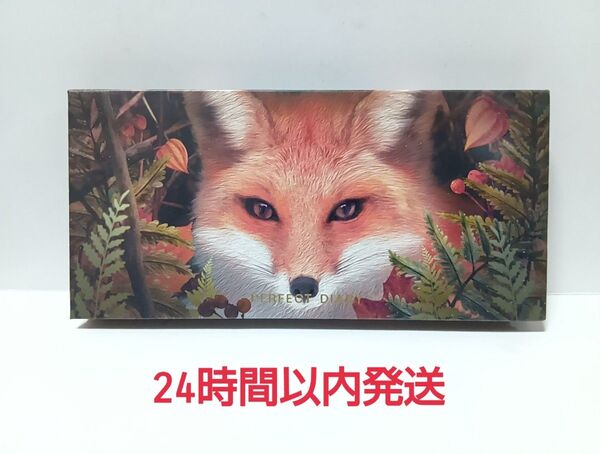 パーフェクトダイアリー アイシャドウ パレット 赤狐
