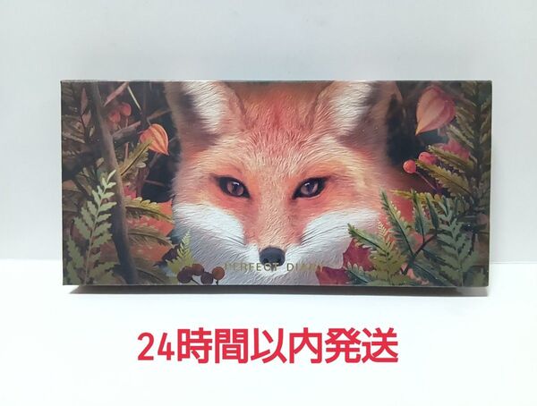 パーフェクトダイアリー アイシャドウ パレット 赤狐