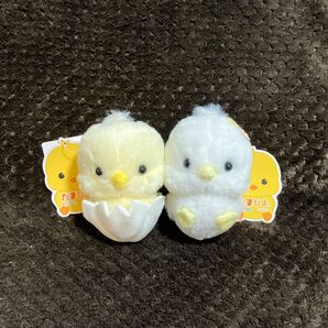 たまぴよ。 ぬいぐるみ ぴょちょこ・たまちゃん 2種セット