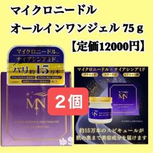 マイクロニードル オールインワンジェル 75g【定価12000円】2個セット