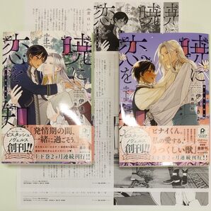 暁に恋を知れ 上下 アニメイト特典 ペーパー付