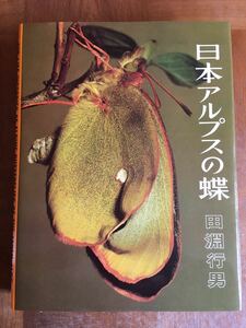 日本アルプスの蝶　田淵行男　1979年　初版　美品
