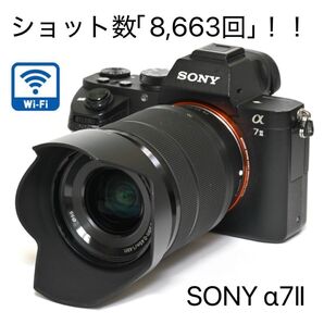 ショット「8,663回」!!SONY α7Ⅱレンズキット ILCE-7M2