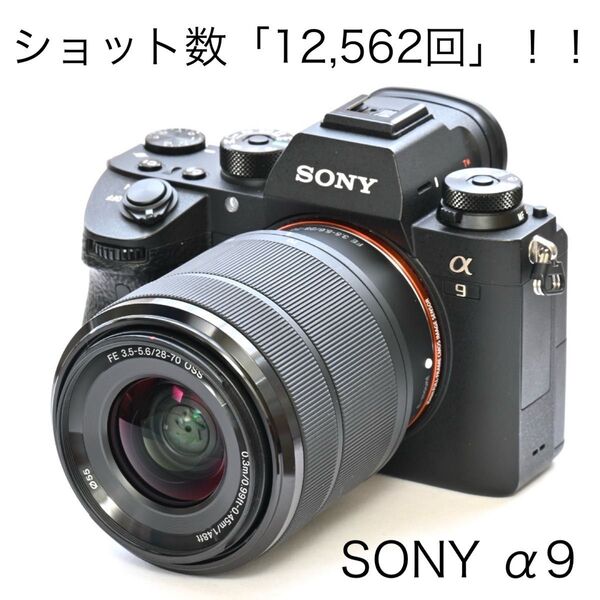 【美品】ショット数「12,562回」!SONY α9レンズセット ILCE-9