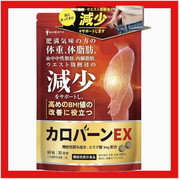 カロバーンEX 肥満 体脂肪 血中中性脂肪 内臓脂肪 リポ酸
