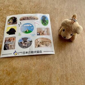 介助犬 キーホルダー ぬいぐるみ マスコット
