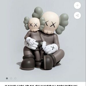 Kaws holidays Changbai Mountain 新品
