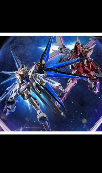 METAL ROBOT魂 ストライクフリーダム弐式 インフィニットジャスティス弐式 セット