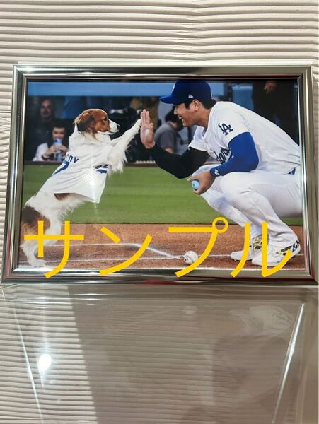 大谷翔平 A4写真 デコピンの始球式 他にも多数出品していますので是非ご覧下さい。フレームカラー銀色21