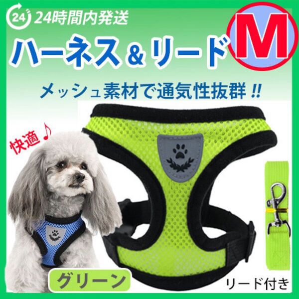 ハーネス【Mサイズ・グリーン】犬用 ベストタイプ 蒸れないメッシュ素材 リード付き 胴輪 散歩 ペット