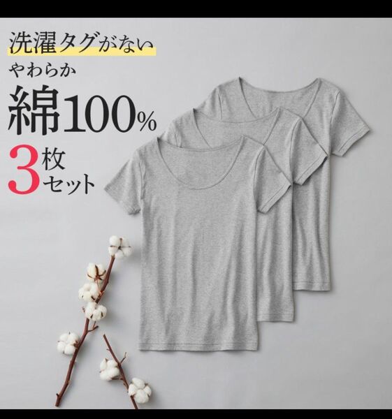 グンゼネット限定 綿100% 2分袖 インナー レディース 3枚組 コットン100% 半袖インナーシャツ グレーモク M