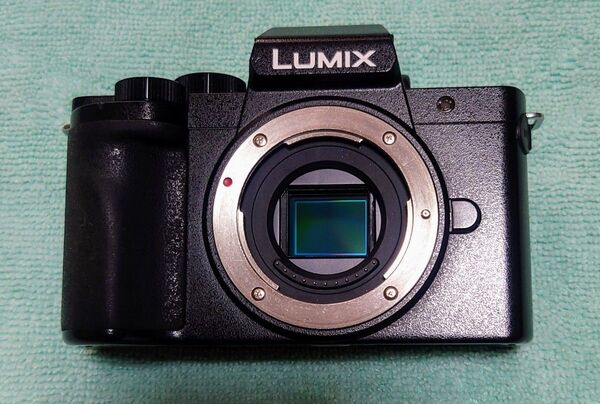 Panasonic LUMIX DC-G100ボディー バッテリー2個・充電器 新品純正ショルダーストラップ