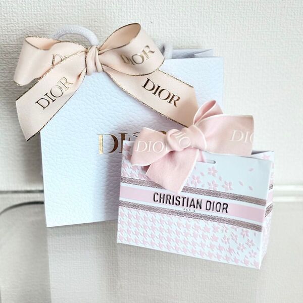 DIOR ディオール アディクト リップ マキシマイザー 094 アクアポップ ギフトボックス ショッパー