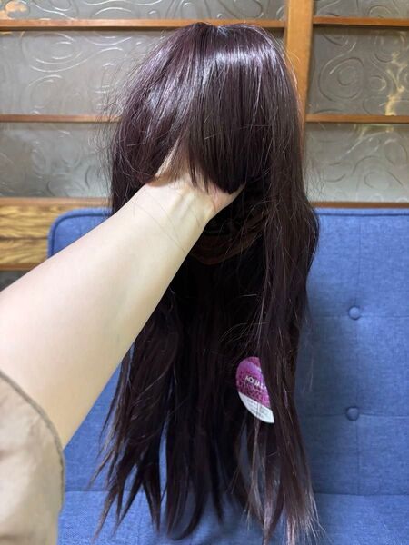 ストレート ロングヘアー 前髪あり フルウィッグ