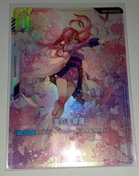 ガンダムカードゲーム 溢れる慈愛 パラレル