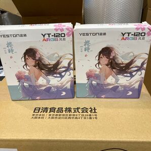 YESTON YT-120 ARGB 2個セット 反転