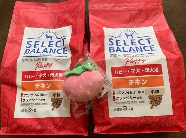 【8】SELECT BALANCE 3㎏×2袋とおもちゃセット/ドッグフード/ チキン/ パピー/子犬・母犬用
