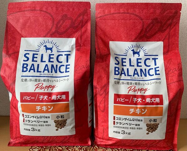 【7】SELECT BALANCE 3㎏×2袋セット/ドッグフード/ チキン/ パピー/子犬・母犬用