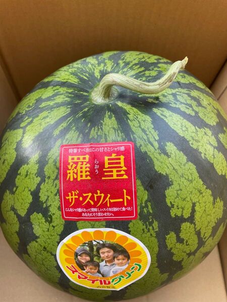 熊本県産羅皇ザ・スウィート1玉9キロ