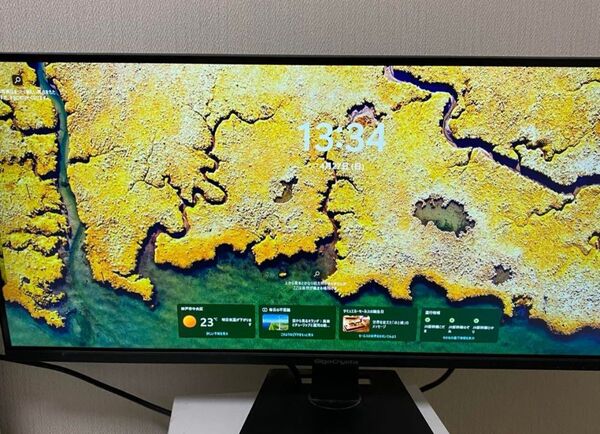 Giga crysta 29インチ モニター ギガクリスタ モニター ワイドモニター パソコン周辺機器 接続ケーブル付属