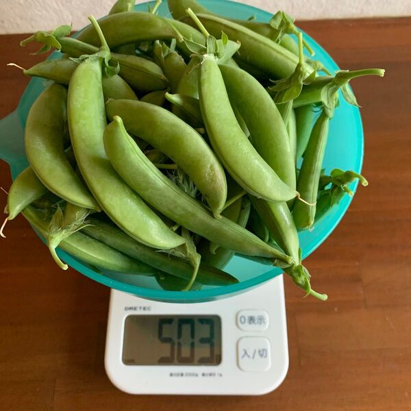 スナップエンドウ 500g