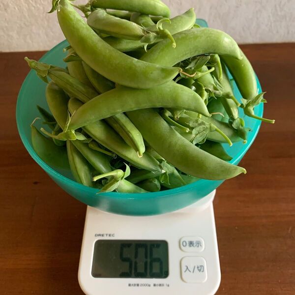 スナップエンドウ 500g