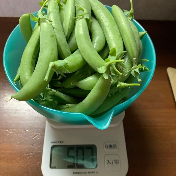 スナップエンドウ 500g