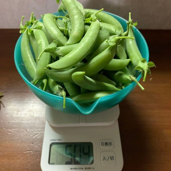 スナップエンドウ 500g