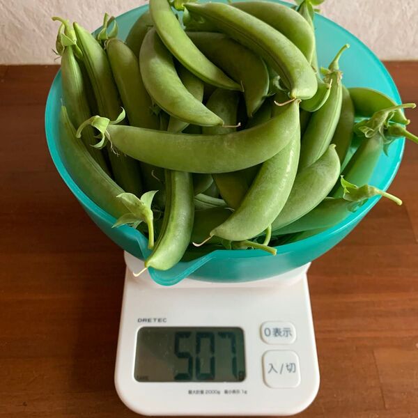 スナップエンドウ 500g