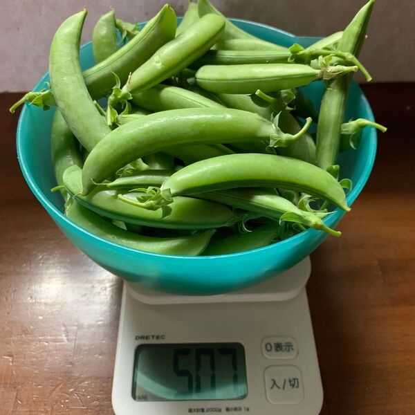 スナップエンドウ 500g