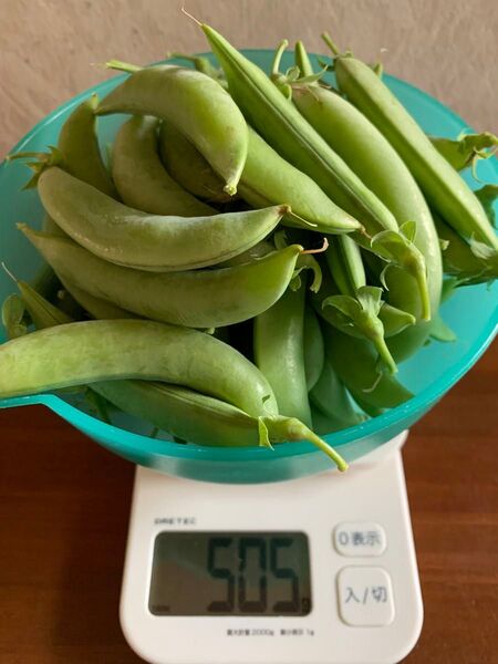 スナップエンドウ 500g