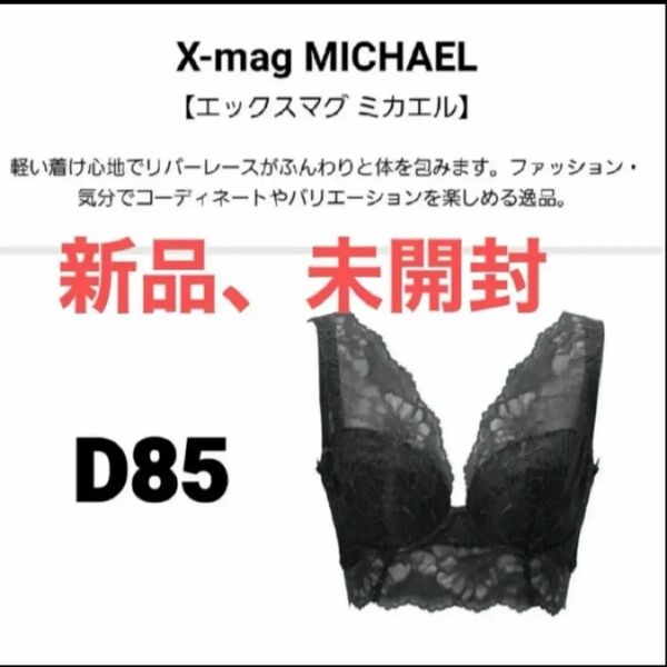 LaLaグラントイーワンズ X-mag MICHAEL D85 補正下着
