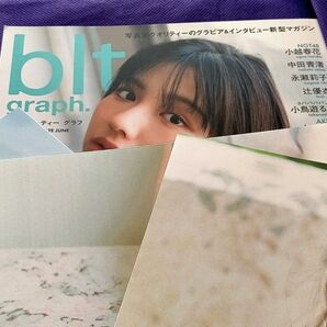 渡邉美穂 blt graph ローソン限定 ポスター 4枚 ビーエルティーグラフ 日向坂46 小鳥遊るい 川崎桜 乃木坂46