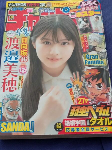 渡邉美穂 週刊少年チャンピオン 2022年25号 日向坂46 特製両面BIGポスター 表紙 巻頭グラビア