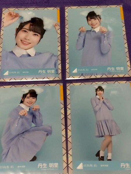 日向坂46 丹生明里 猫耳衣装 コンプ 生写真 4枚 コンプリート