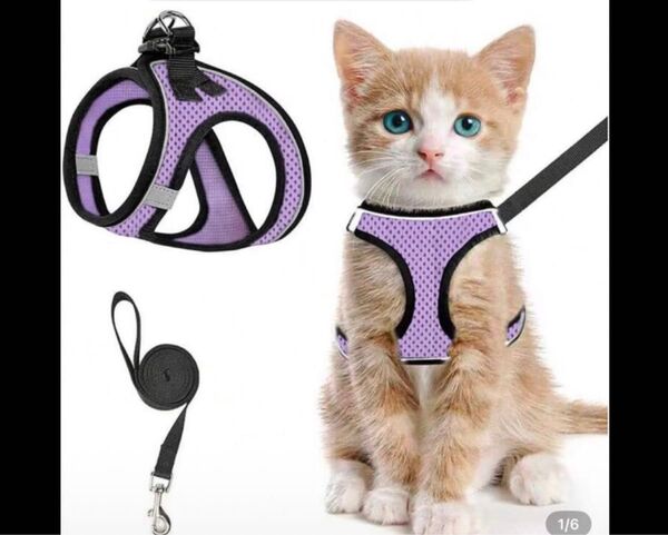 猫用ハーネス&首輪セット 【新品】
